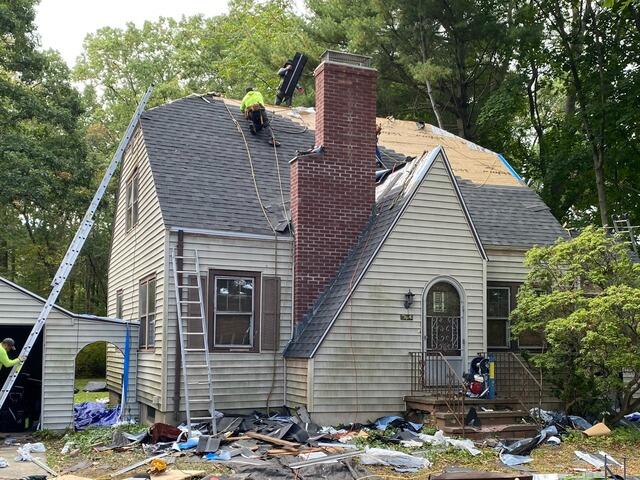The New Shingles