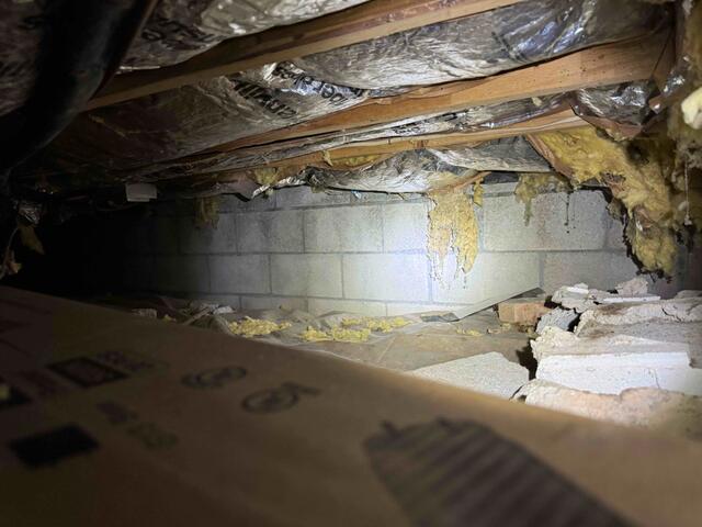 Damp Crawl Space