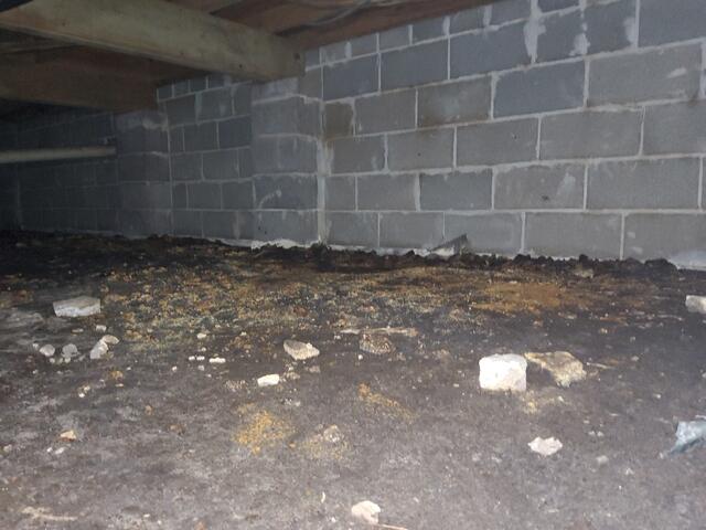 Damp Crawlspace