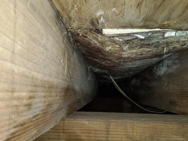 Humidity Damage on Subfloor