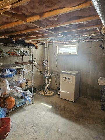 TripleSafe Sump Pump and SaniDry XP