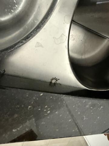 They Go Nuts for This Stuff