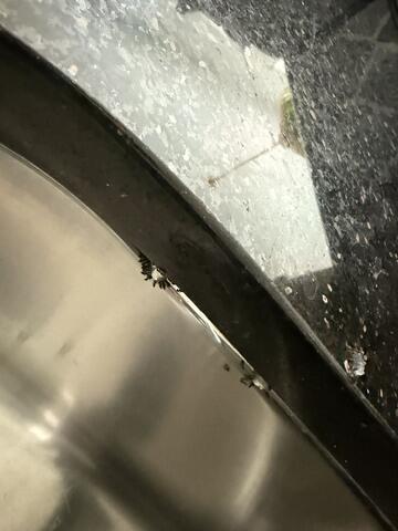 Treating the Outside of the Home Too