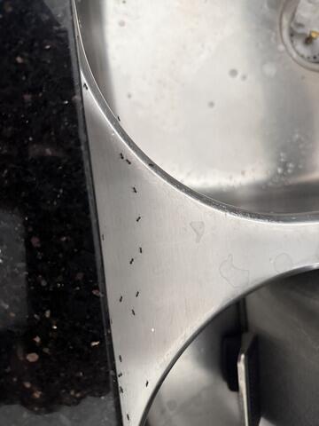 From a Small Crack in the Window