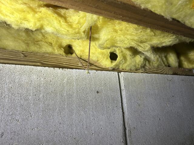 What Are Mice Tunnels Again