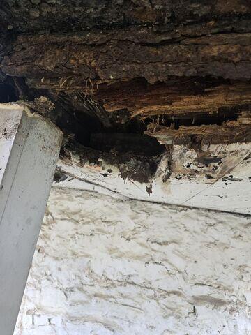 Structural Damage
