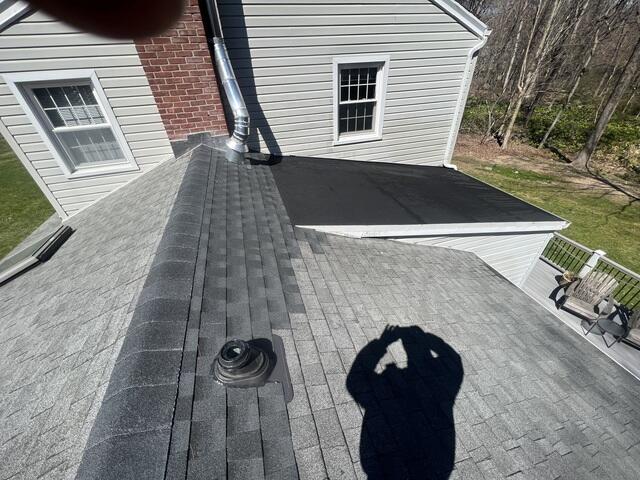 The Roof After