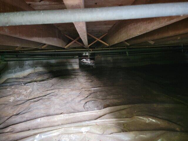 Existing Liner