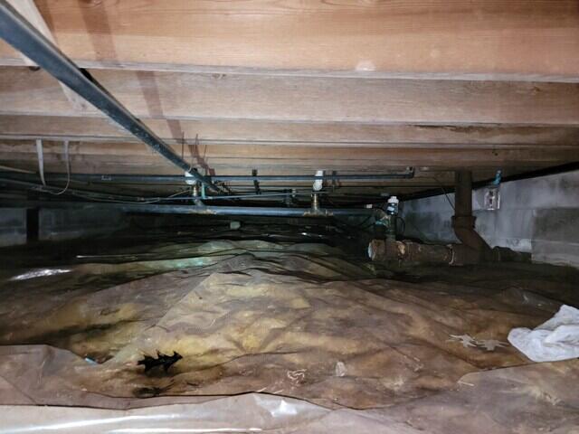 Existing Liner