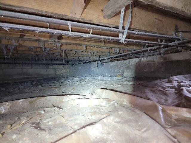Existing Liner