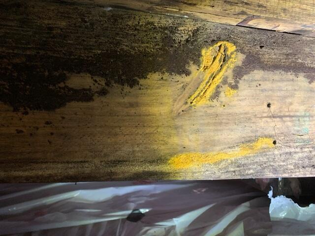 Moldy Crawl Space Wood