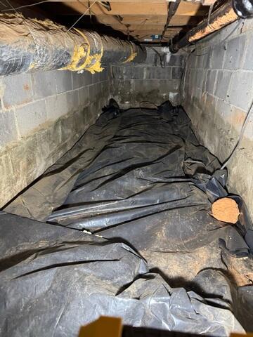 Crawlspace during Inspection