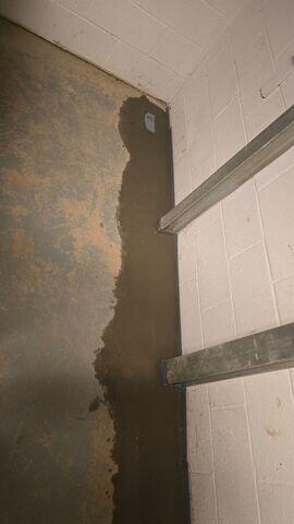 WaterGuard Drainage System
