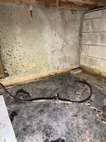 Before Waterproofing