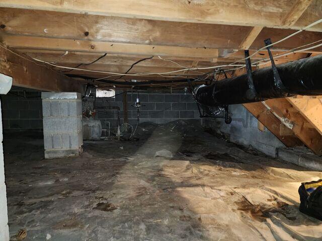 Damp Crawl Space