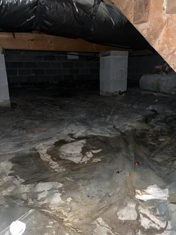 Crawl Space Before