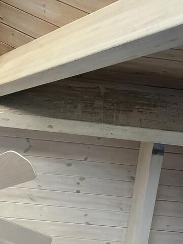 Mold on the Ceiling