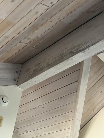The Rafters Too