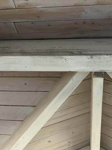 Mold Abatement Polymer Solutions
