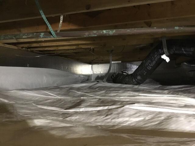 SilverGlo Insulation