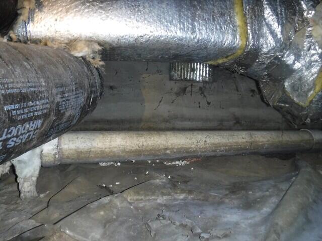 Before Project