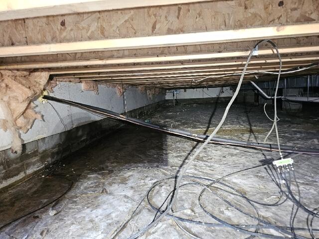 Old Insulation
