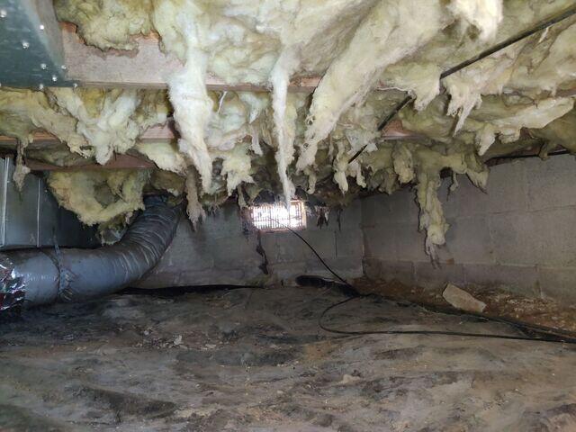 Moisture Issues