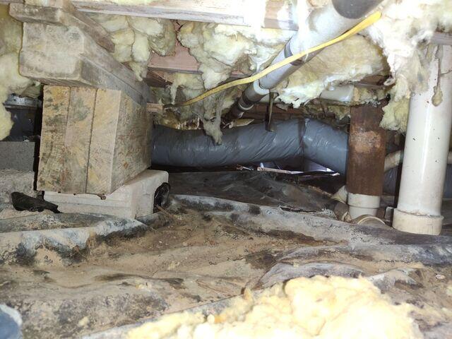 Crawl Space Damage