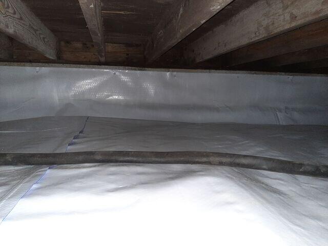 CleanSpace Liner