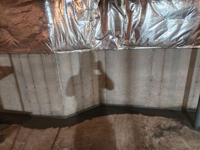 WaterGuard Wall Flange