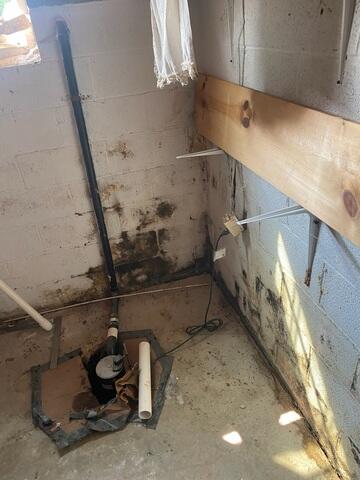 Old Sump Pump