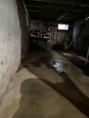 Damp Basement Conditions