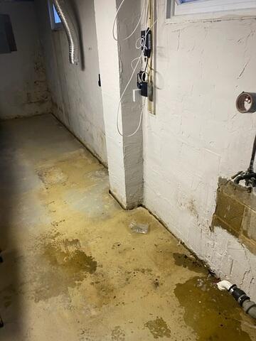 Damp Basement