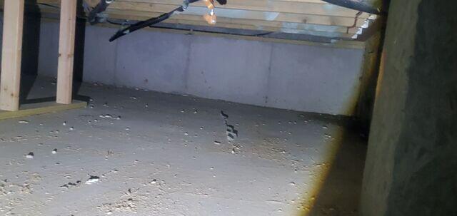 Crawl Space