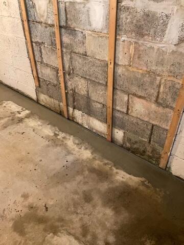 WaterGuard Drainage System