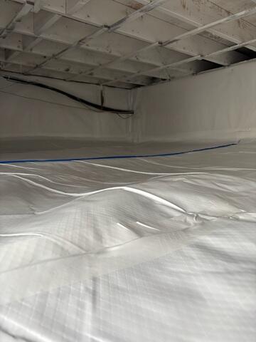 CleanSpace