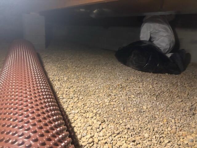 Drainage Matting Laid Beneath Barrier
