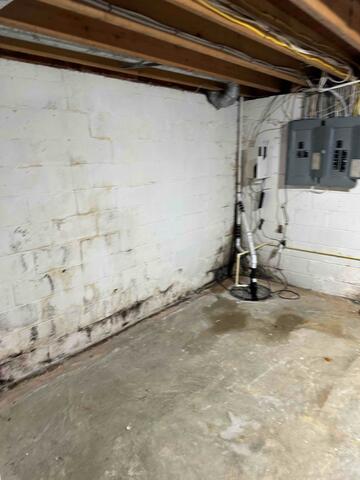 Damp Basement