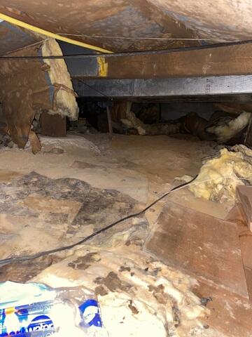 Damp Crawl Space