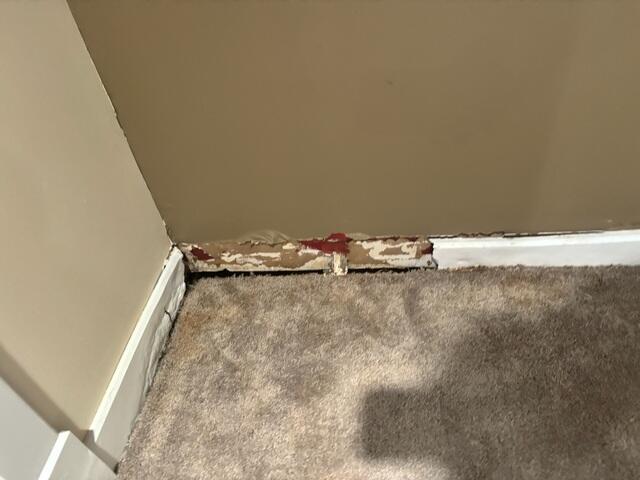 Finished Basement Damage