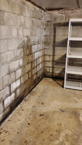 Water in Basement