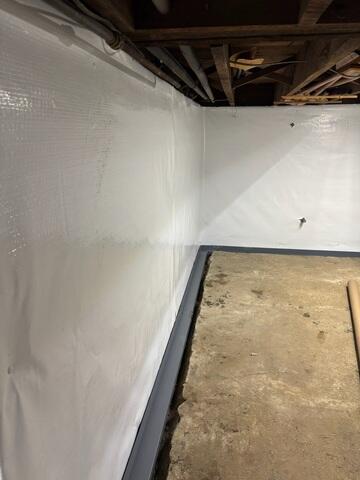 CleanSpace