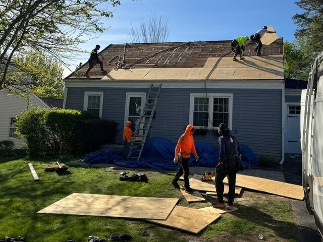 New Plywood Is Installed