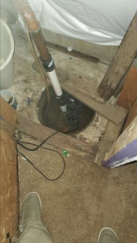 Old Sump Pump