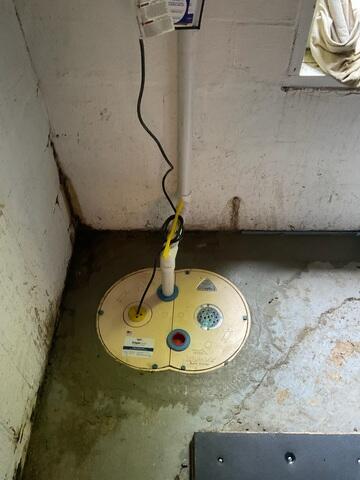 TripleSafe Sump Pump