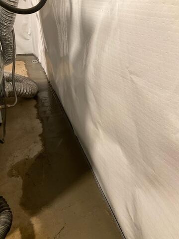 WaterGuard Drainage System