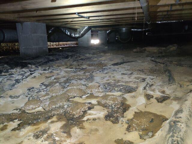 Crawl Space During Inspection