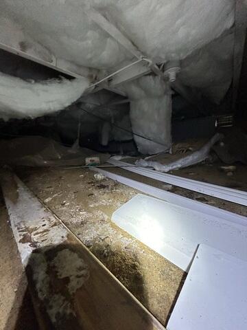 Damp Crawl Space