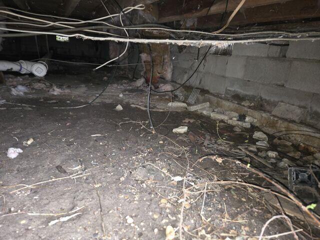 Crawl Space