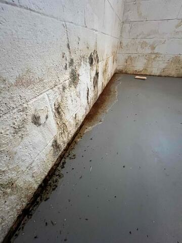 Water Damage